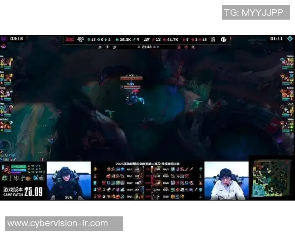 赛后复盘：深入剖析JDG与IG对决中的战术与策略应用