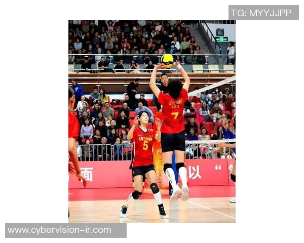 女排联赛激战正酣辽宁与天津巅峰对决引发球迷热议